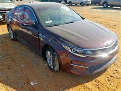 کیا ئۆپتیما